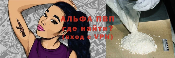 прущие грибы Абаза