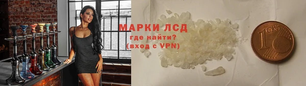 прущие грибы Абаза