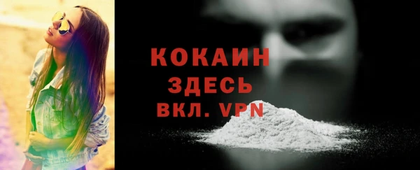 прущие грибы Абаза