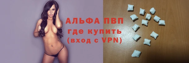 прущие грибы Абаза