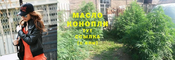 прущие грибы Абаза