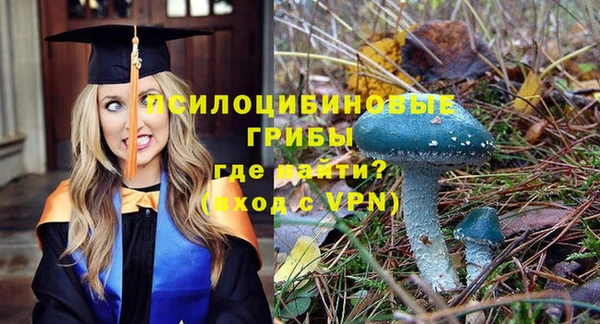 прущие грибы Абаза