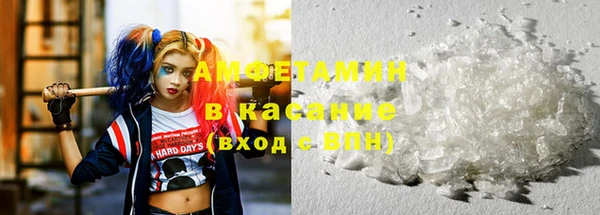 прущие грибы Абаза