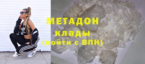 прущие грибы Абаза