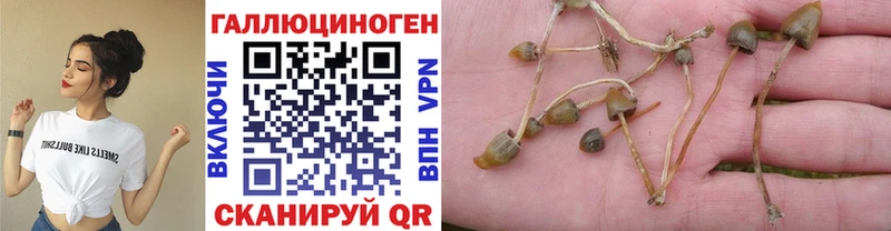 Псилоцибиновые грибы MAGIC MUSHROOMS Химки