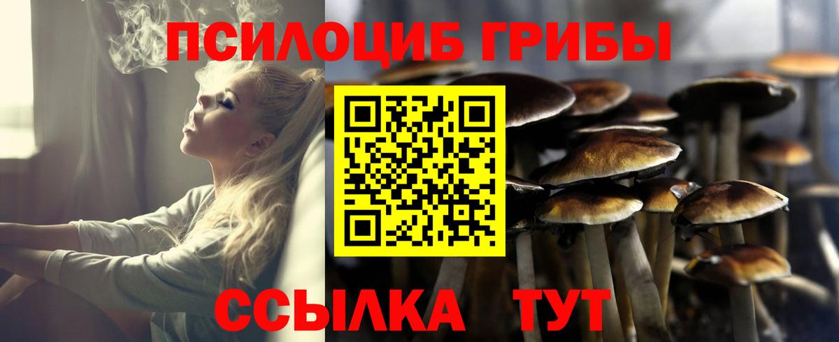 Псилоцибиновые грибы GOLDEN TEACHER  Вход с VPN  Химки 